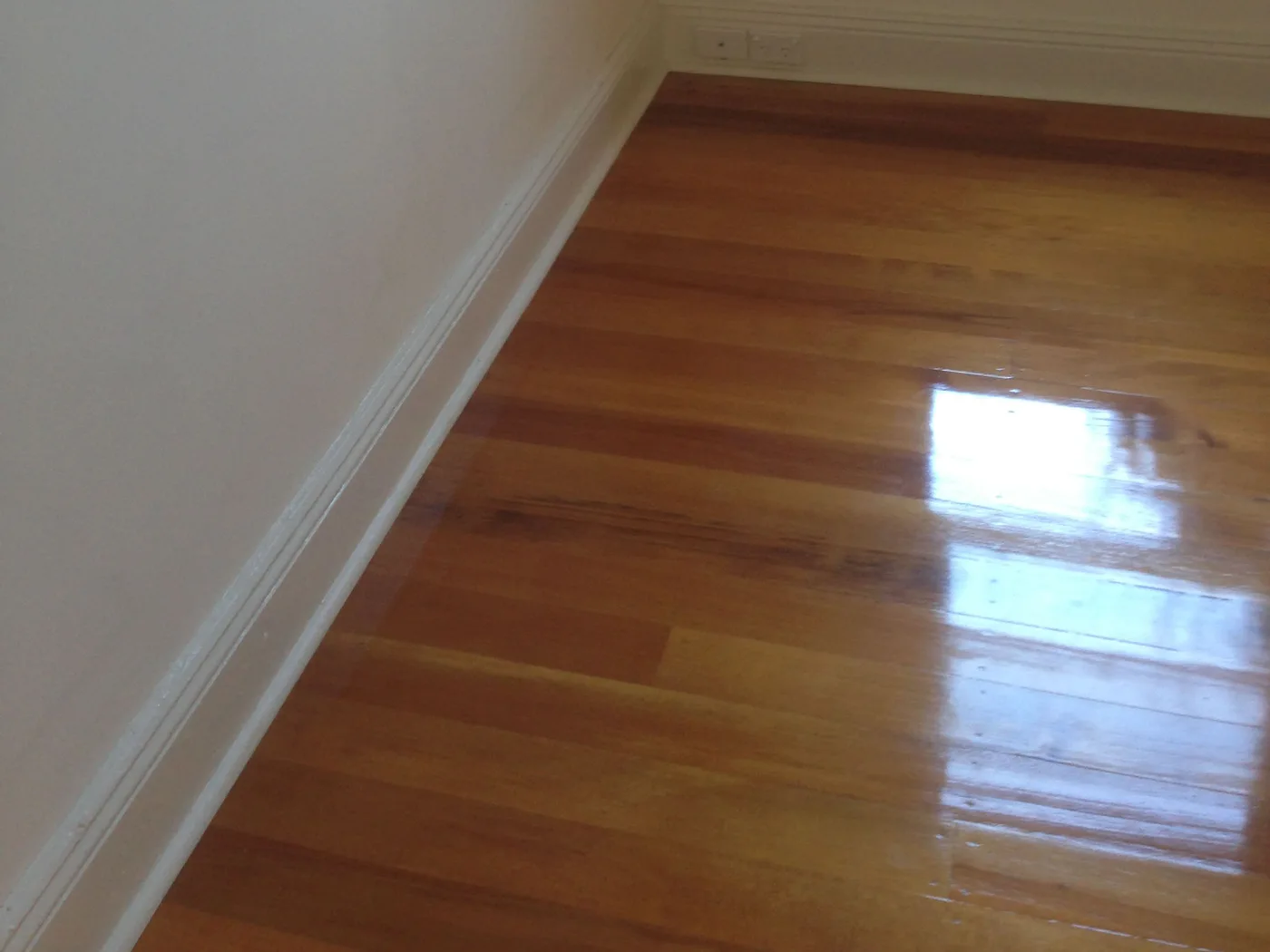 Rising damp remediation underway in a Sydney property